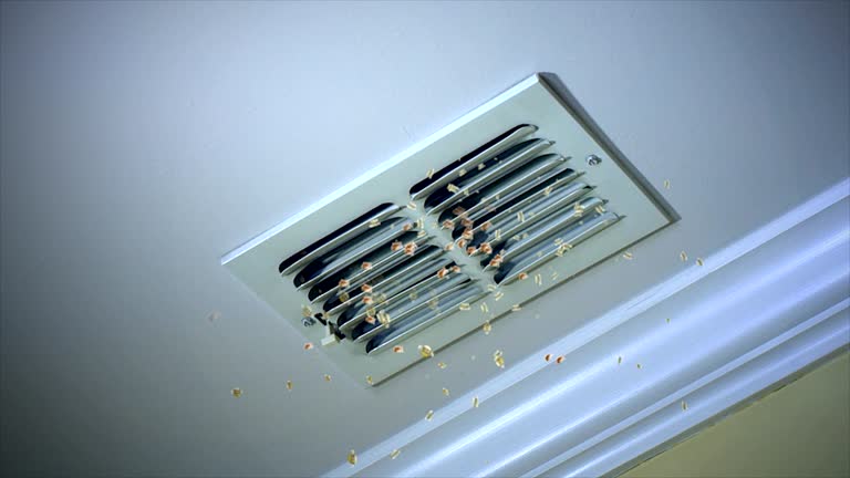 Best Dryer Vent Cleaning Services  in Lake Secession, SC